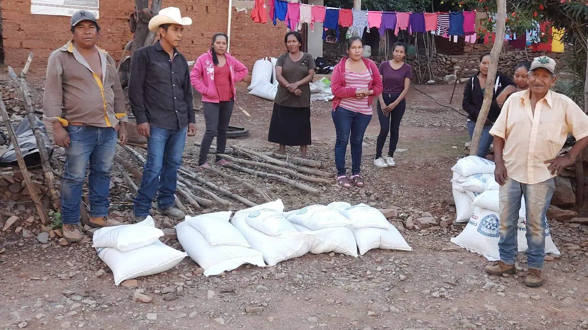 WhatsApp Image 2023-01-05 at 9.29.15 AM