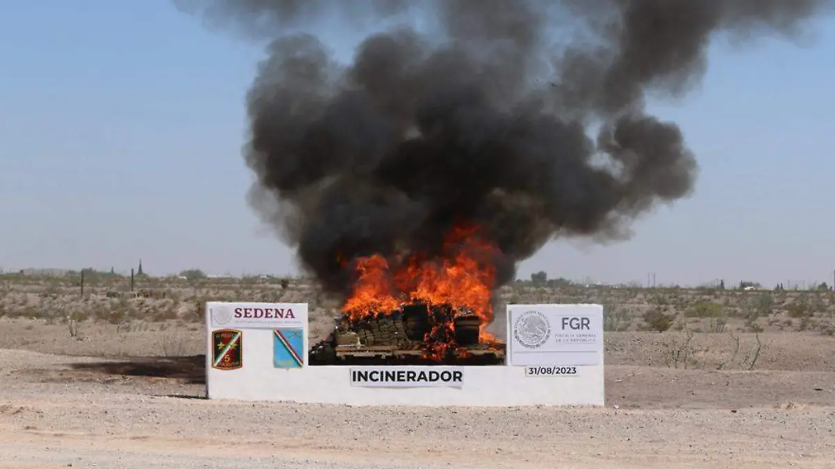 WhatsApp Image 2023-08-31 at 3.32.16 PM