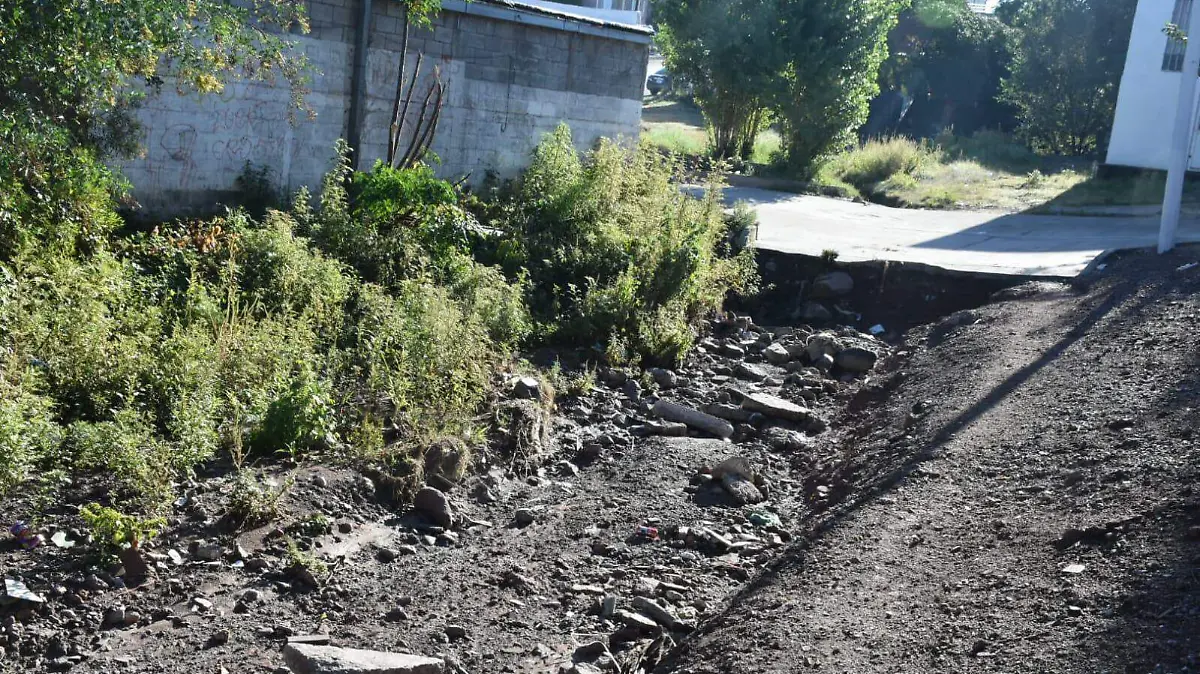 WhatsApp Image 2022-10-16 at 13.31.48