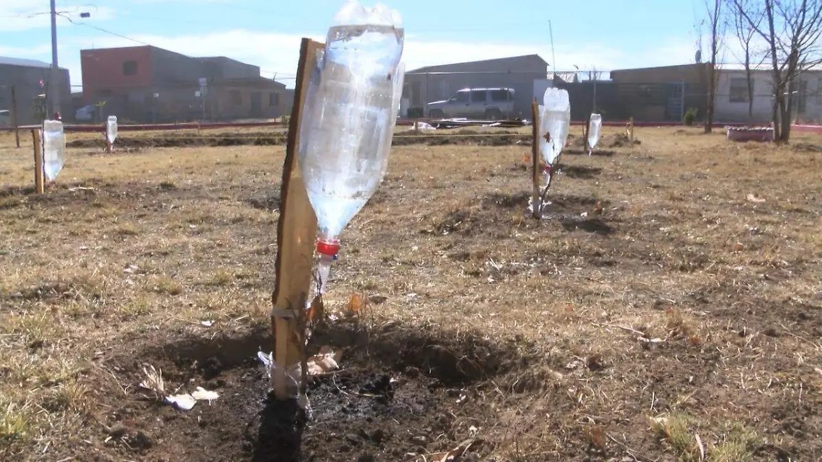 proyecto ecológico riego