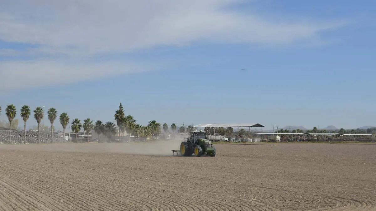 WhatsApp Image 2022-12-16 at 3.51.05 PM