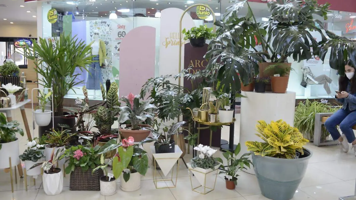 WhatsApp Image 2022-03-19 at 2.19.56 PM (1)