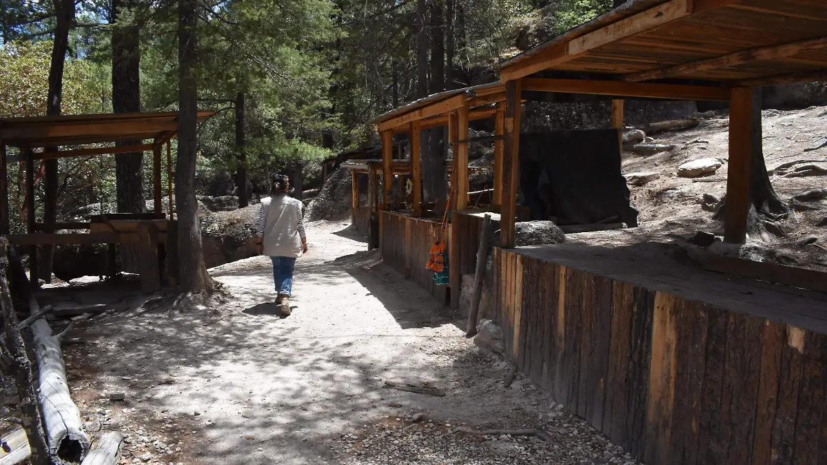 PUESTOS DE TATAHUMARAS VACIOS (2)