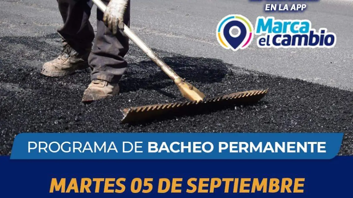 baches