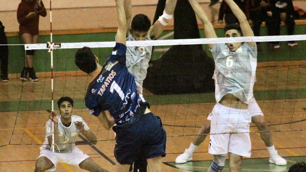 Image 2019-12-08 at 11.54.38 AM (1)