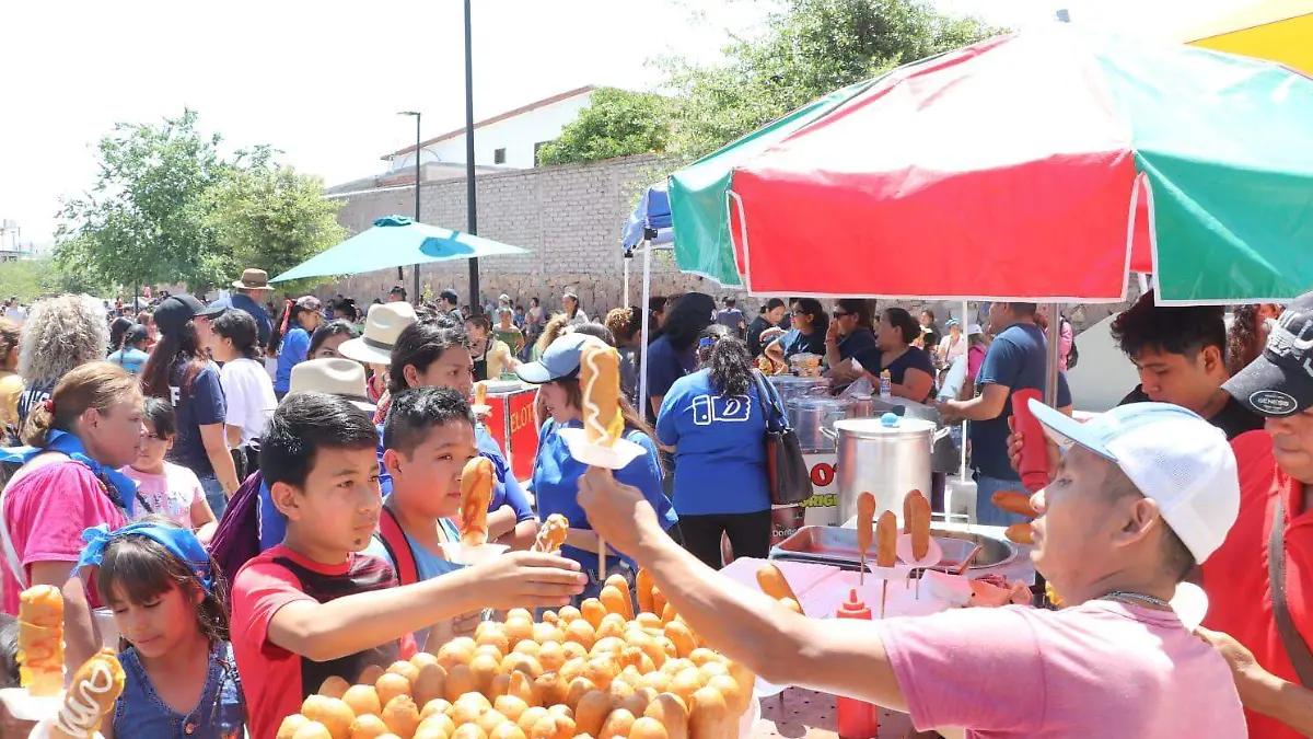 WhatsApp Image 2023-05-13 at 1.26.01 PM (1)