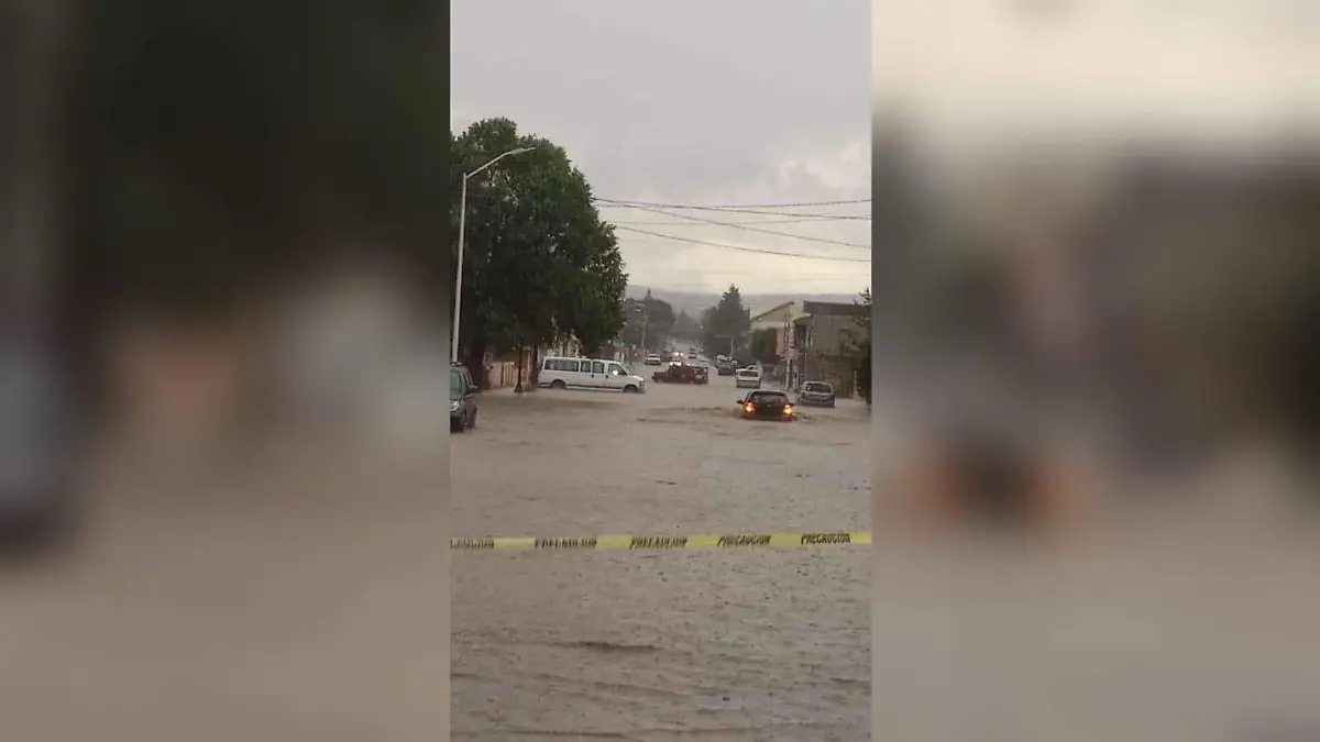 WhatsApp Image 2023-07-11 at 18.07.36