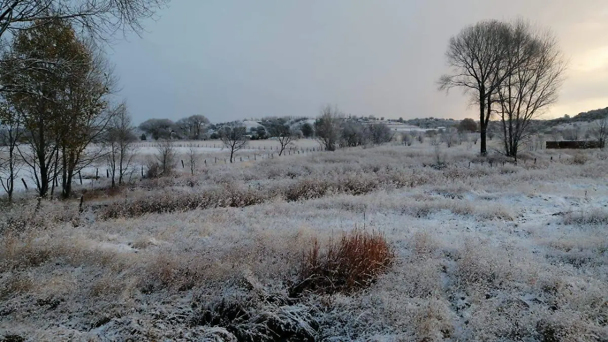 nieve en chihuahua