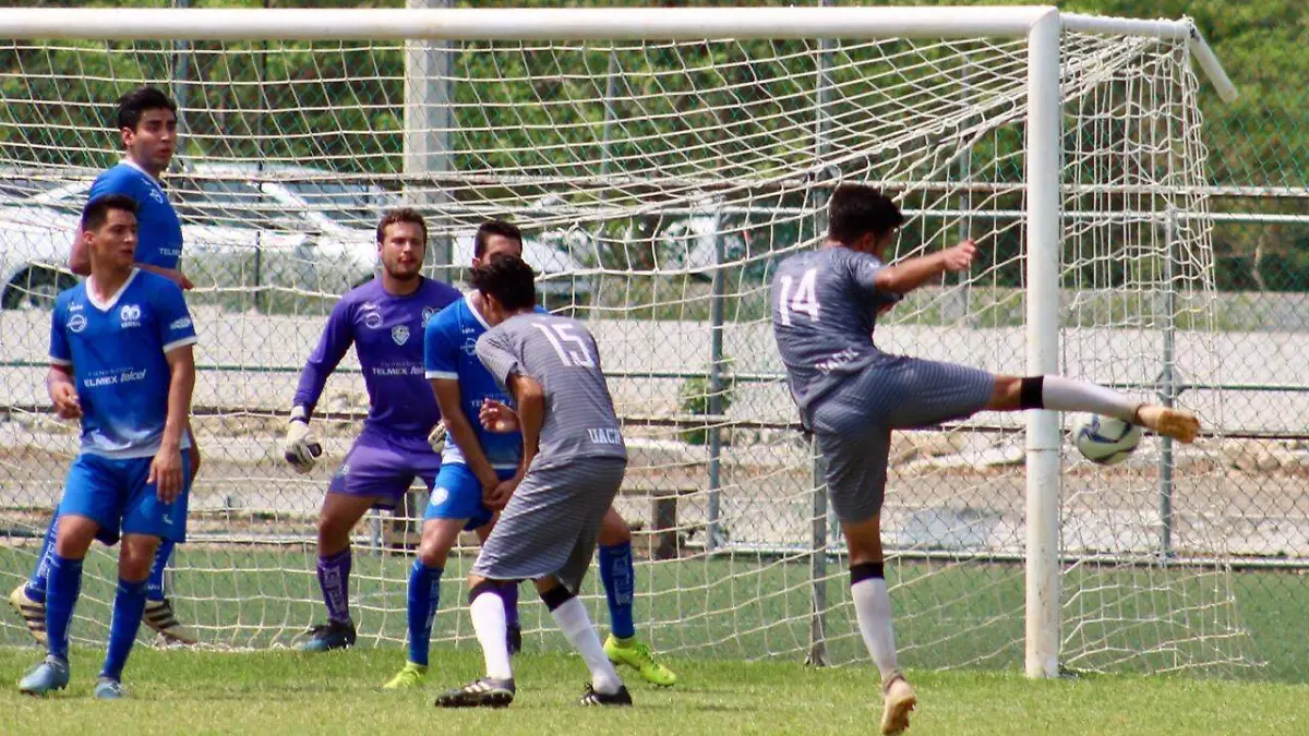 b61d3309-a3d4-43b6-a1dc-b76da4600f97