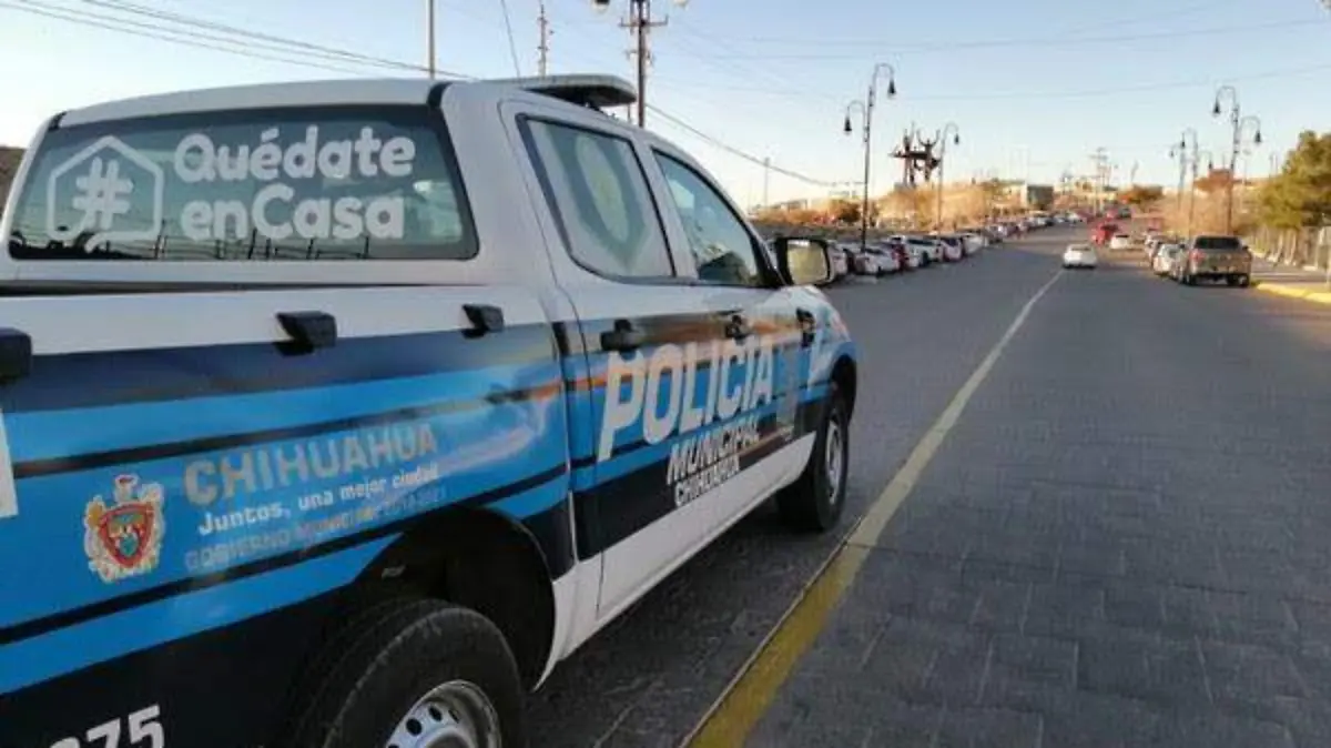 Seguridad pública