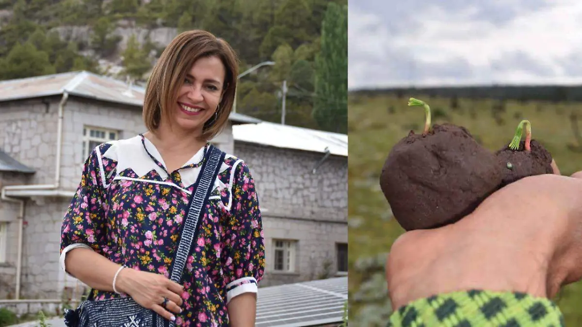 diputada martinex