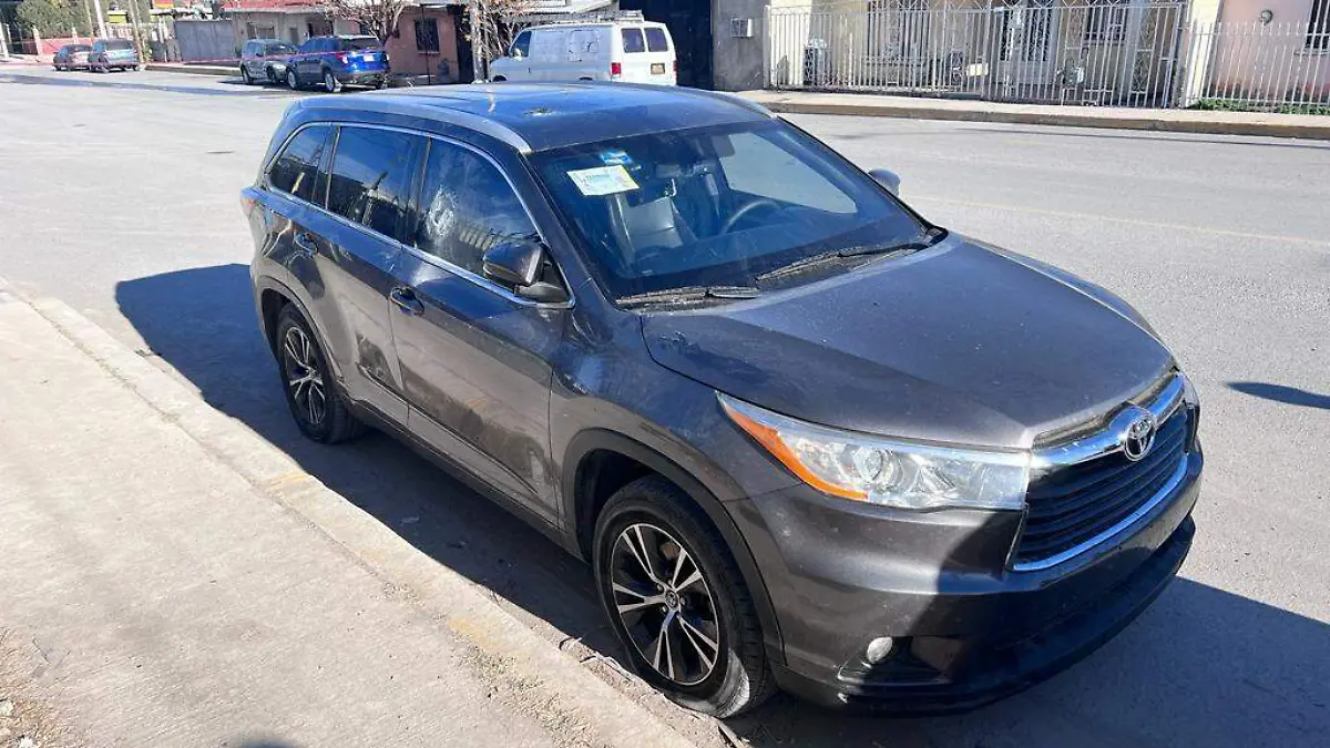 WhatsApp Image 2023-01-05 at 18.28.31