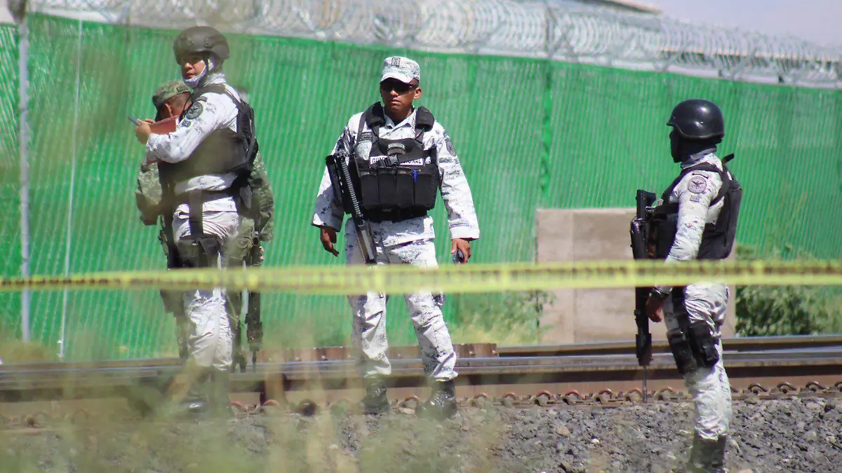 WhatsApp Image 2023-07-28 at 11.45.34 AM