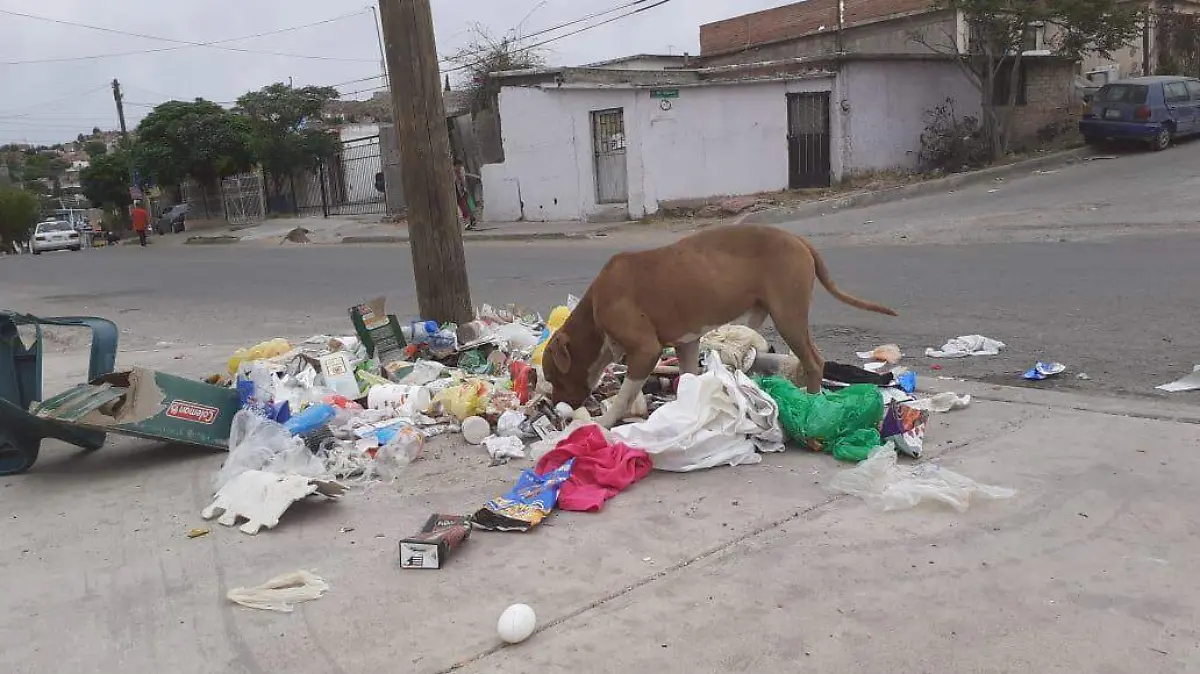 a99d3235-26b2-4c27-963e-fbe5df570903