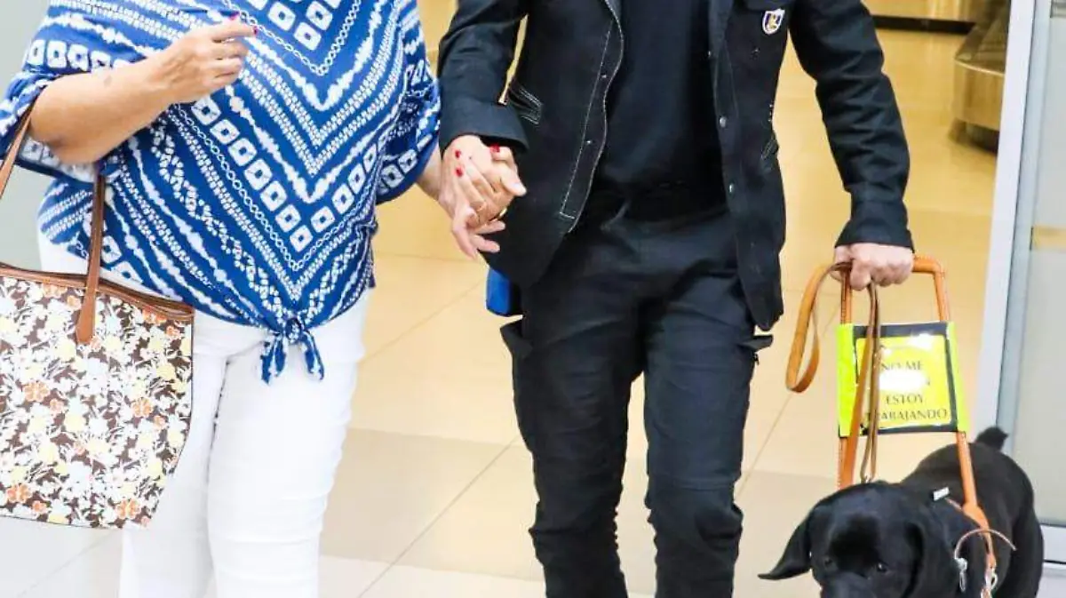 perro guía club de leones 