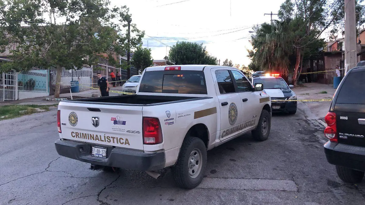 criminalìstica
