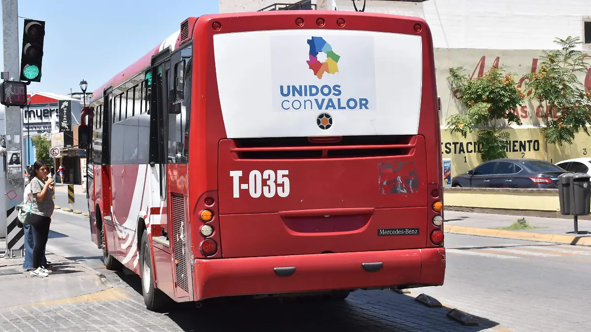 CAMIONES TRONCALES Y ALIMENTDRAS SIN PLACAS NOTA RICHI  (5)
