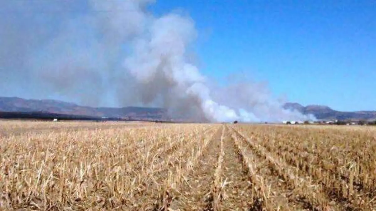 WhatsApp Image 2023-01-03 at 1.54.47 PM