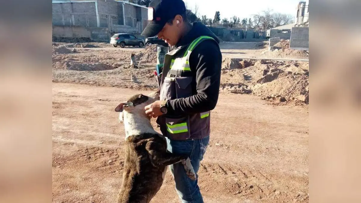 GridArt_20230503_175707955