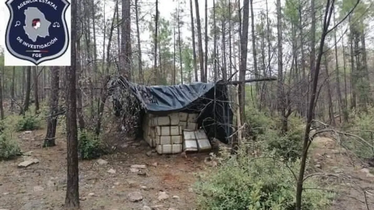 Droga asegurada