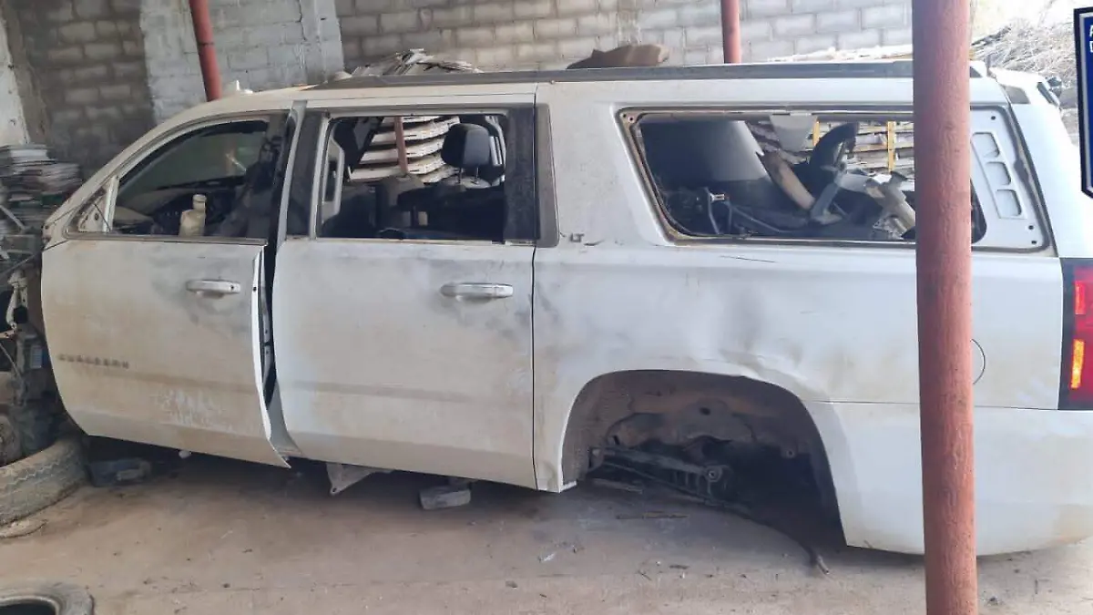 WhatsApp Image 2023-09-26 at 12.16.42 PM