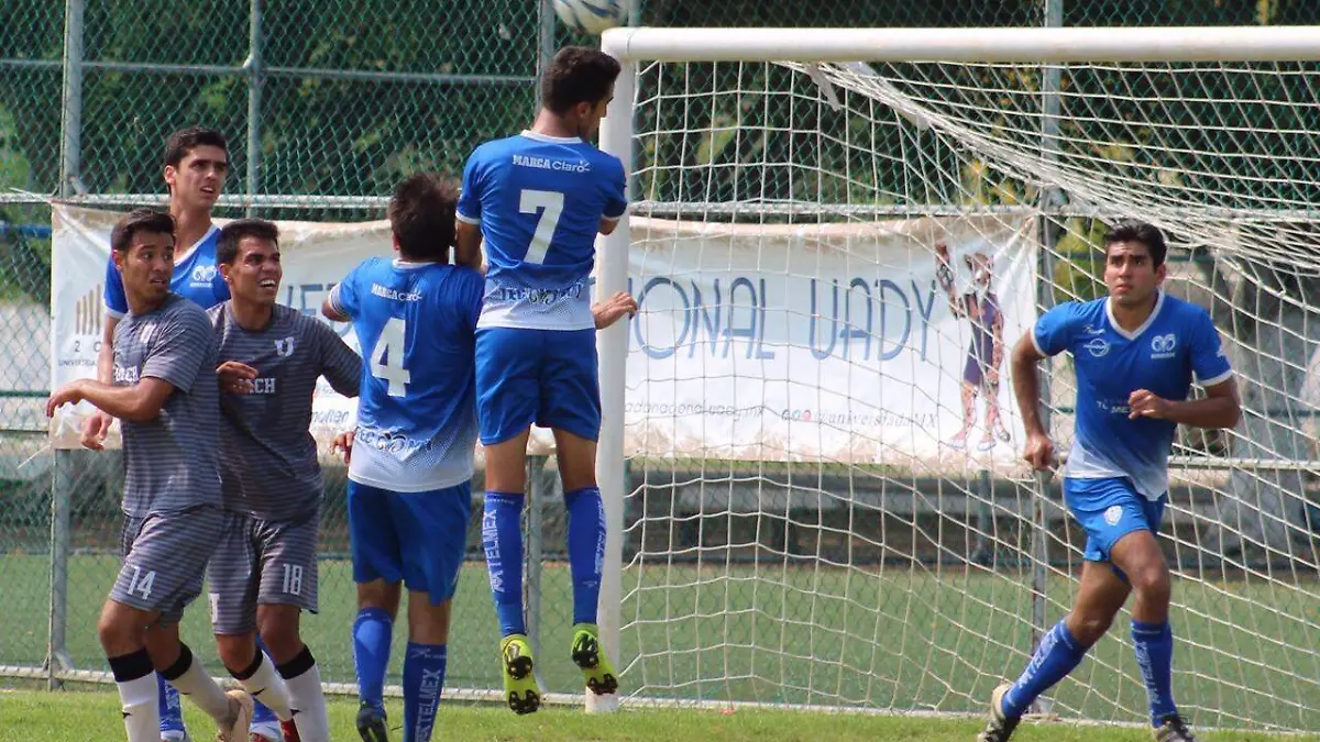 77fe9e36-8e32-4cc0-9df6-6dc9daa384a2