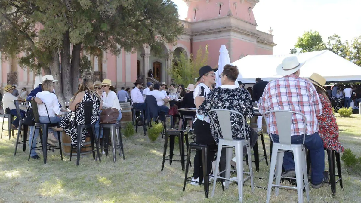 WhatsApp Image 2022-10-01 at 17.07.32 (2)