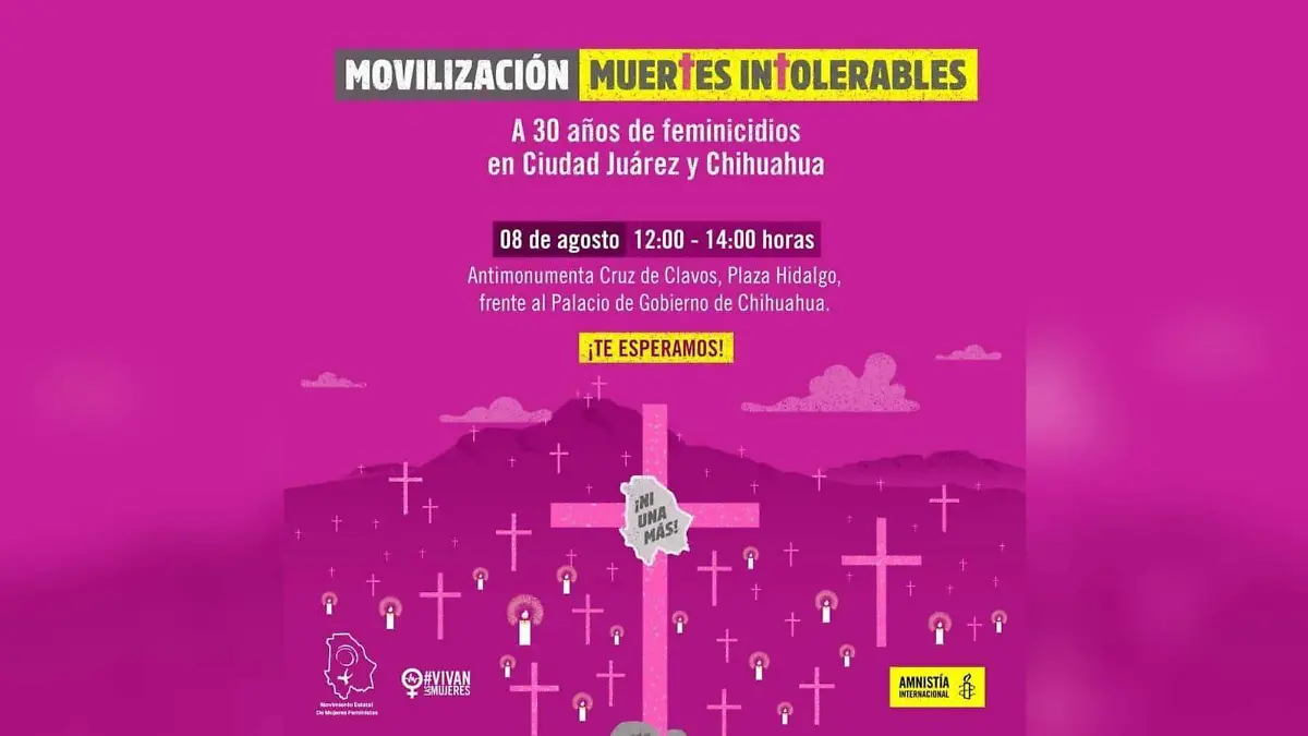 movilizaciòn