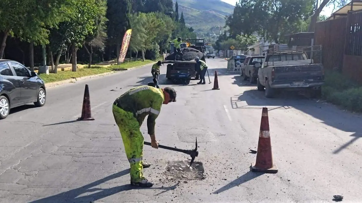 bacheo