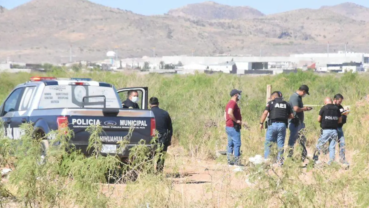 WhatsApp Image 2022-04-17 at 11.06.34 AM