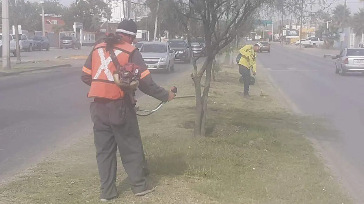 WhatsApp Image 2020-10-13 at 11.55.01 AM