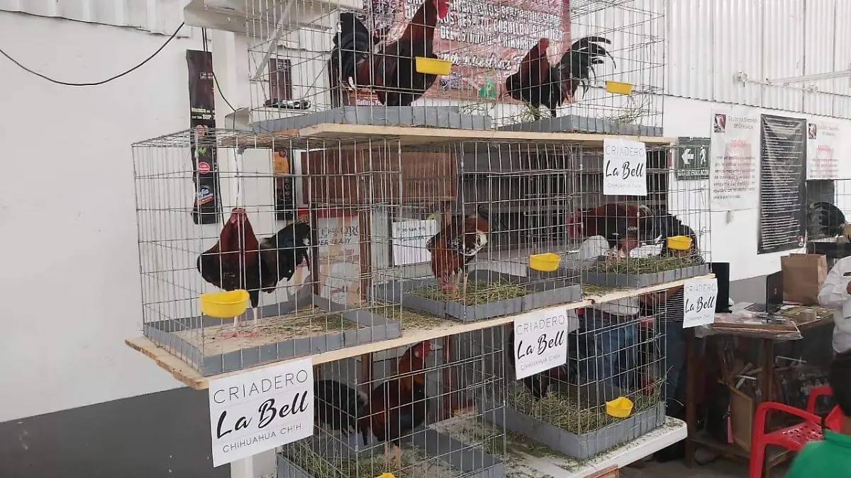 a91731ef-56e5-46b6-bf0f-7e36ebab255e