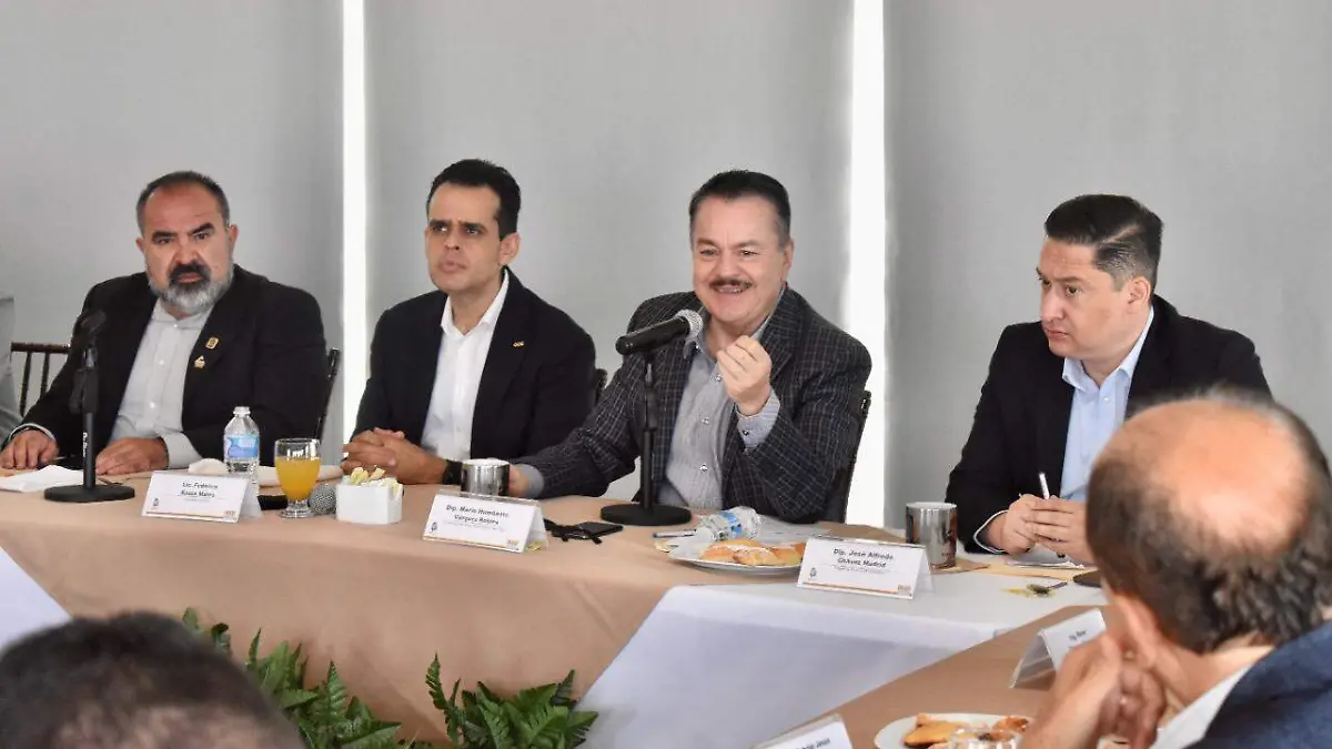 cce y diputados