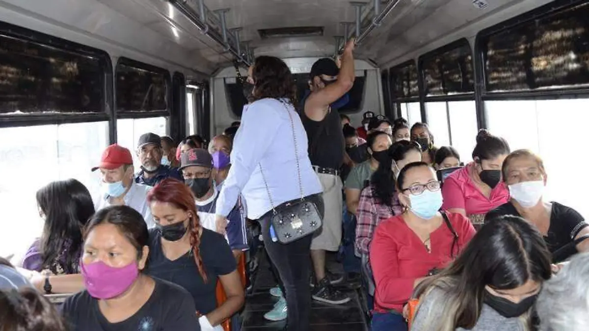 Gente abordo en camiones urbanos (6)