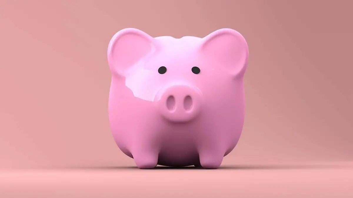 piggy-bank-gf33f58bfc_1280