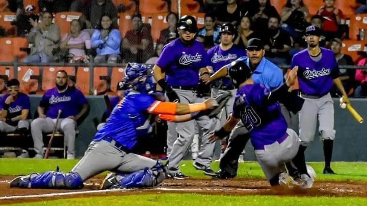 dorados beisbolok