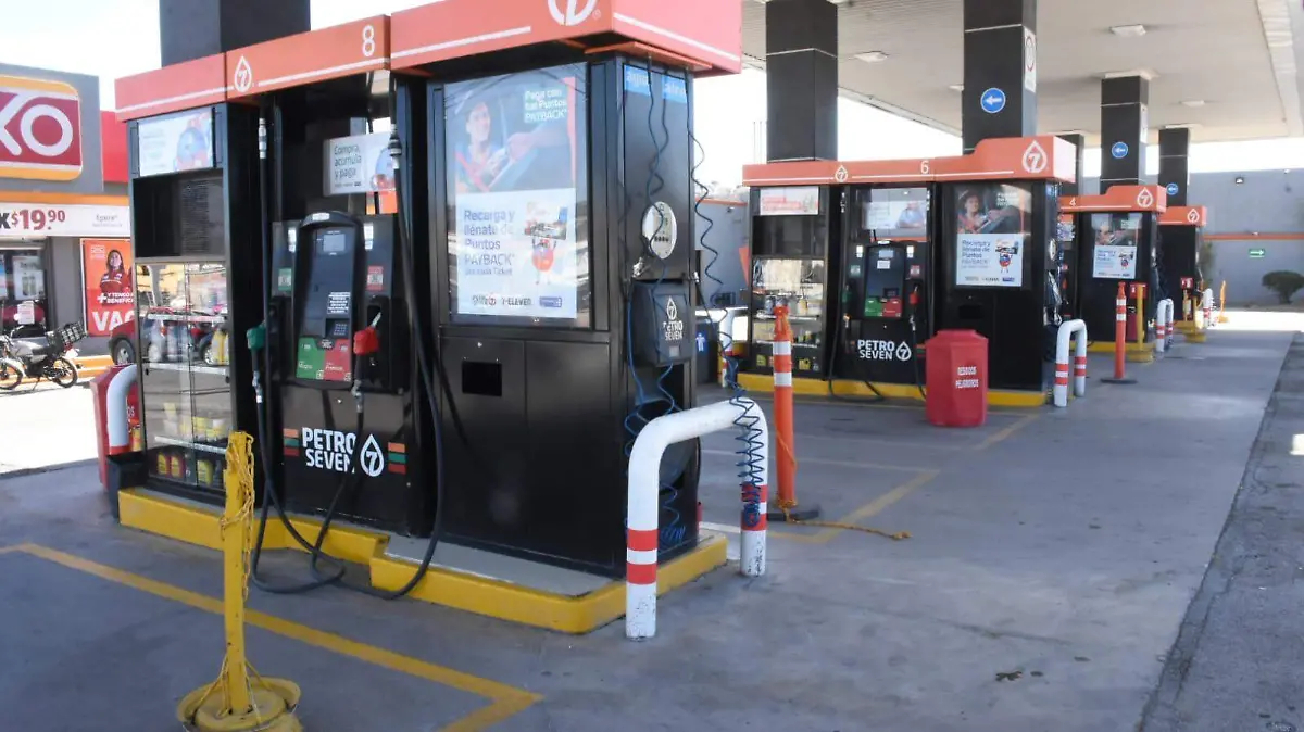 WhatsApp Image 2022-03-18 at 10.52.43 AM