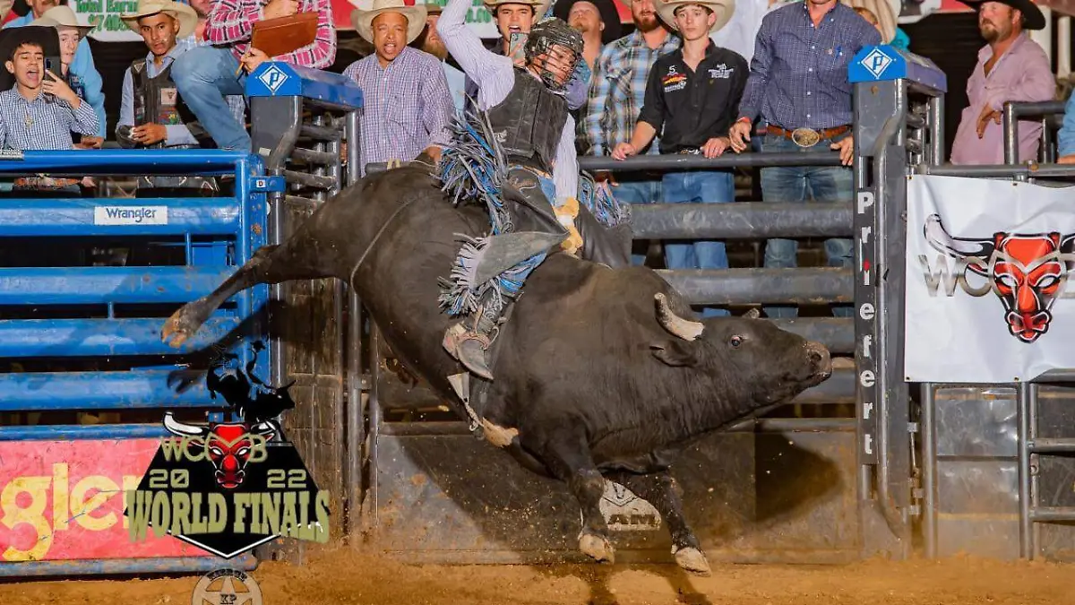 WhatsApp Image 2022-10-12 at 2.50.19 PM