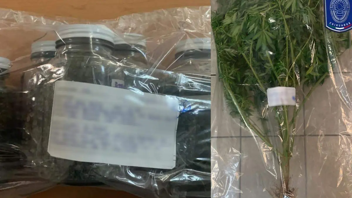 WhatsApp Image 2023-08-15 at 7.24.06 PM