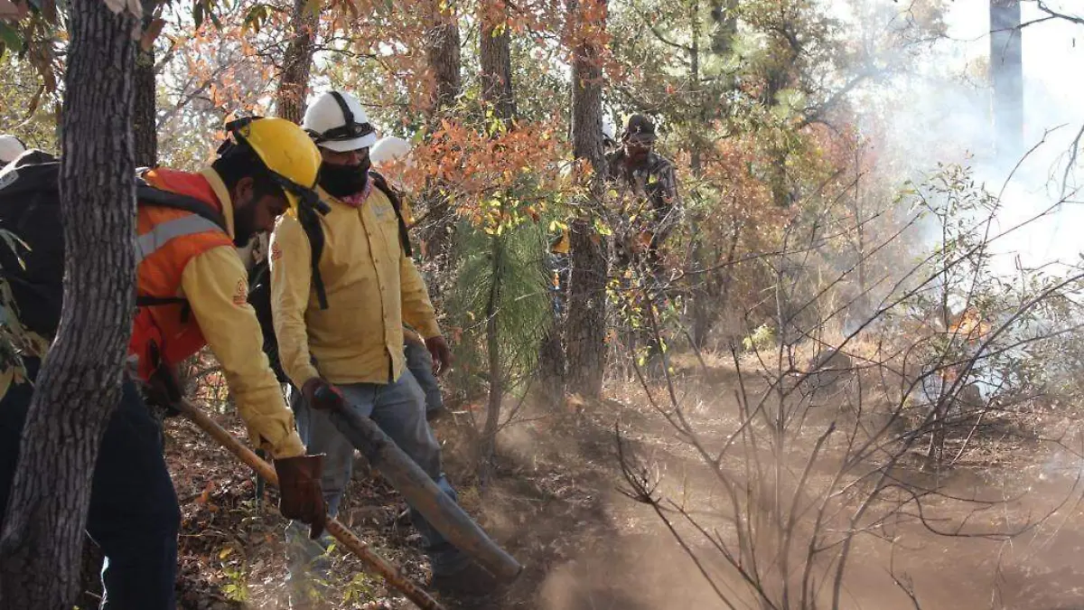 incendios en chihuahua