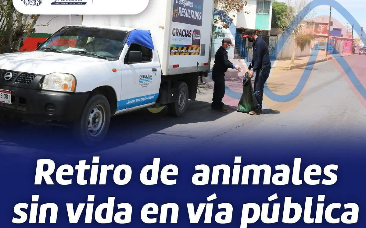 WhatsApp Image 2022-07-12 at 12.08.11 PM