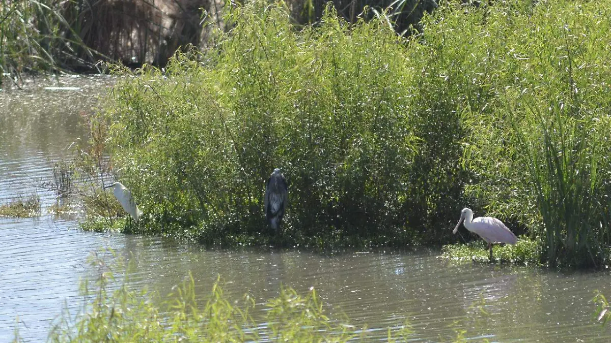 WhatsApp Image 2021-10-09 at 3.35.11 PM