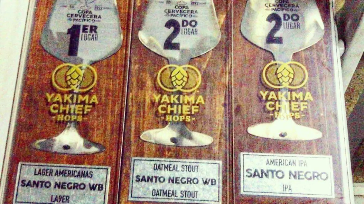 Cerveza artesanal 2