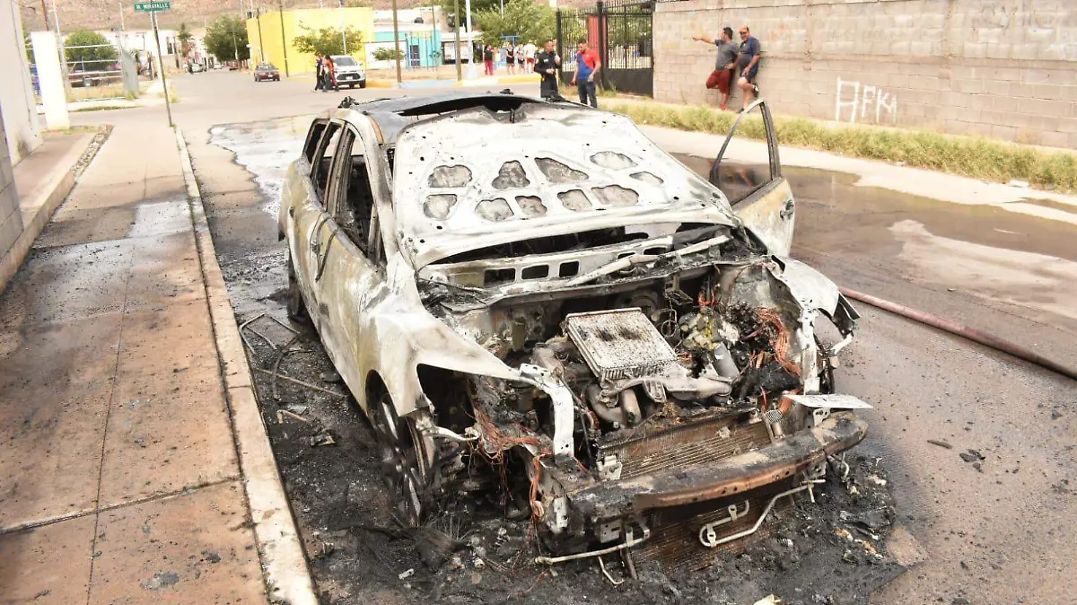 WhatsApp Image 2023-06-12 at 5.59.43 PM