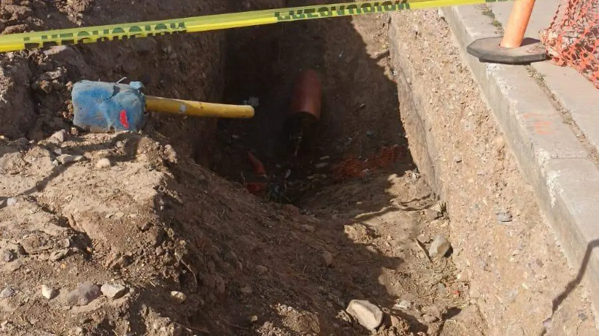 WhatsApp Image 2022-11-13 at 1.06.41 PM