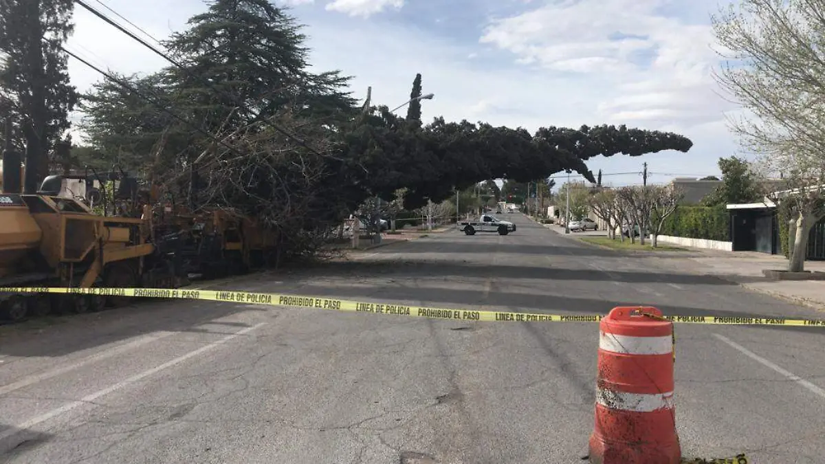 WhatsApp Image 2021-03-11 at 4.37.39 PM