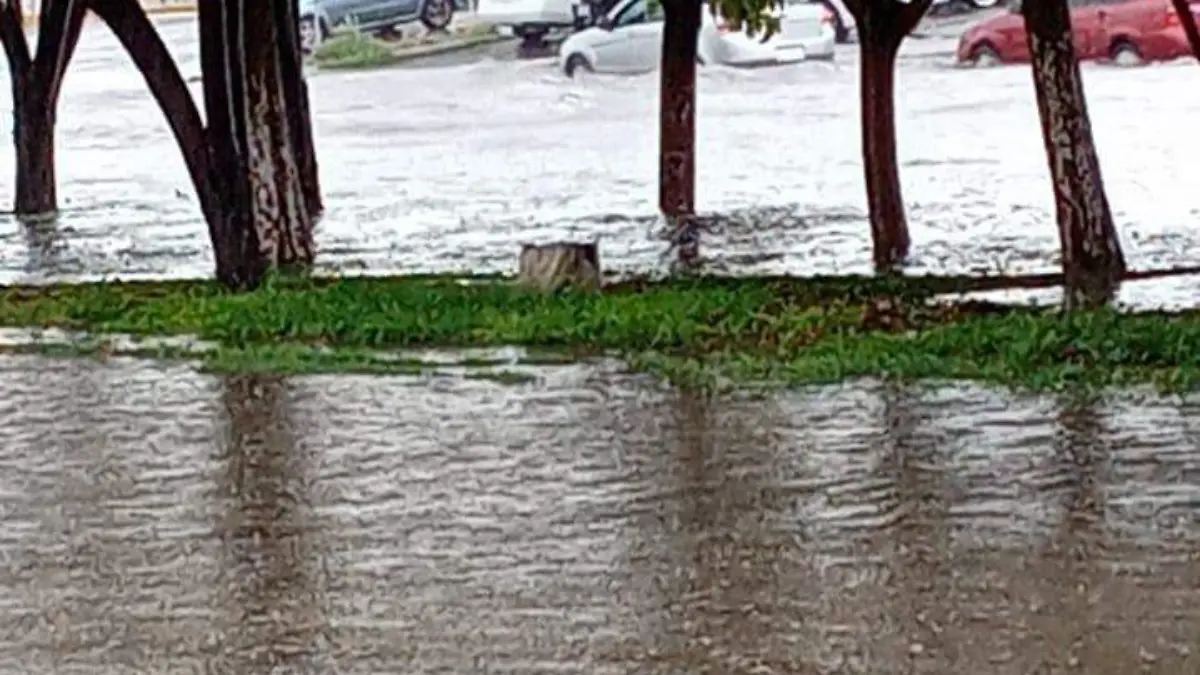 delicias lluvia1