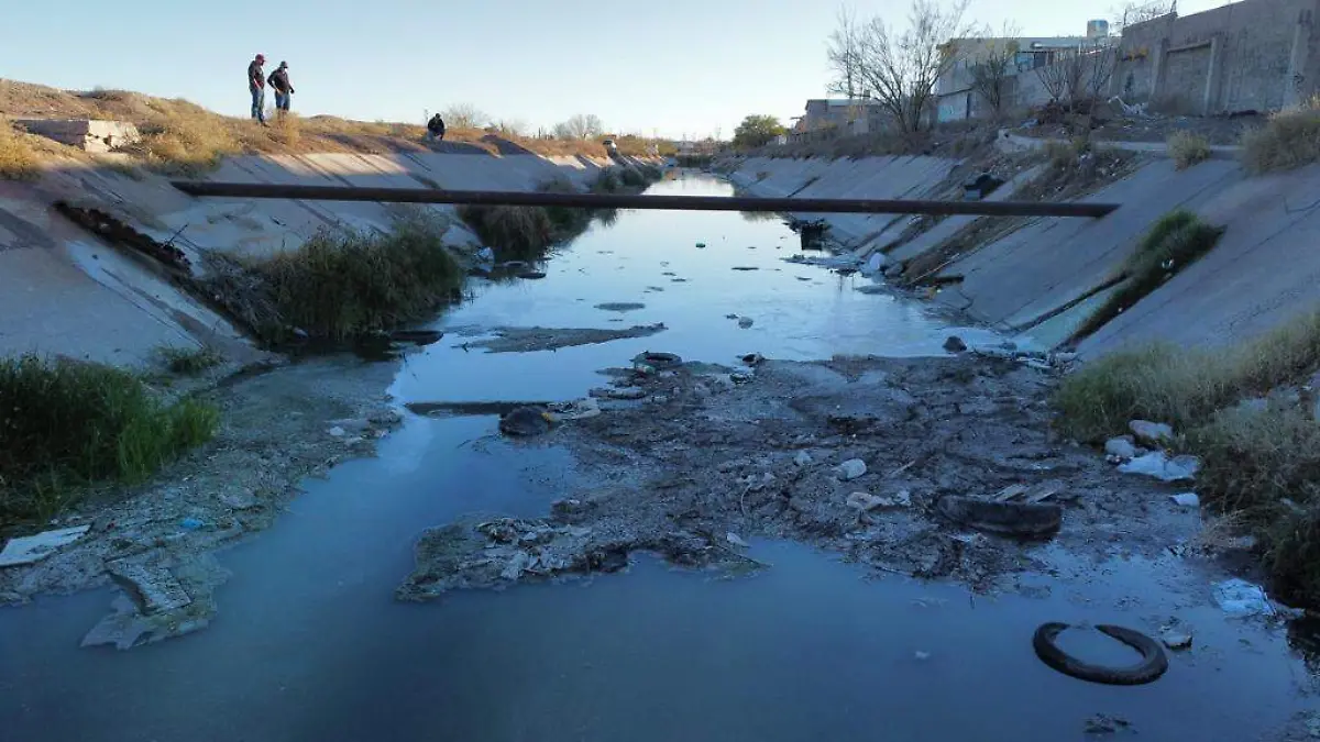 WhatsApp Image 2022-01-14 at 3.17.37 PM