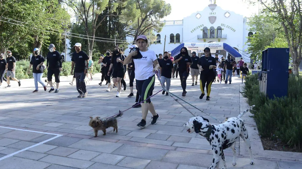 caminata libre sin adicciones