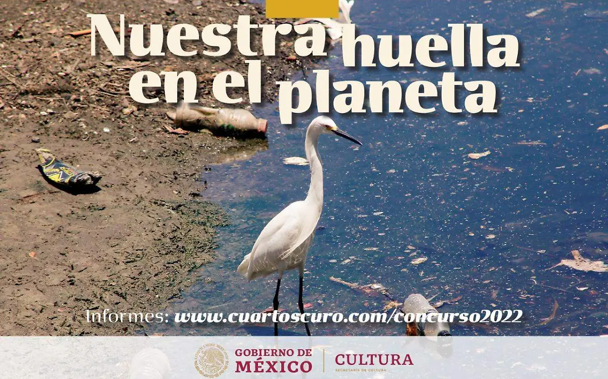 WhatsApp Image 2022-02-22 at 1.27.05 PM